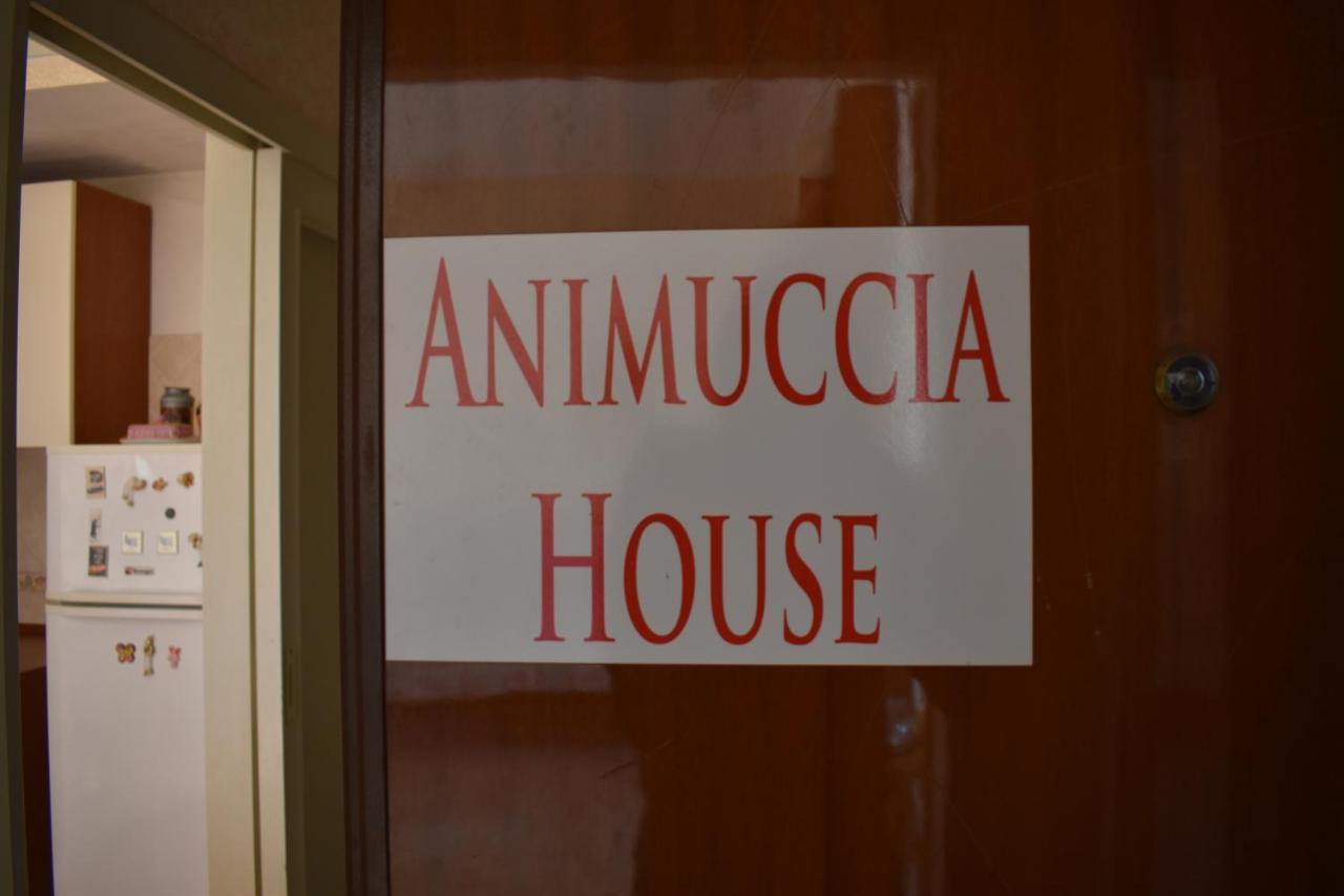 Casa Vacanze Animuccia House Roma Exterior foto